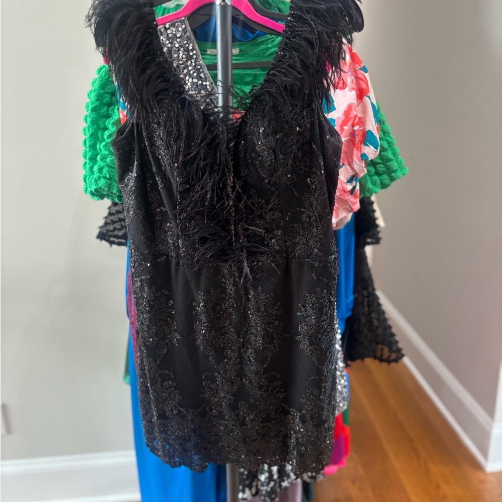 Black Beaded & Feather Trim Party Dress